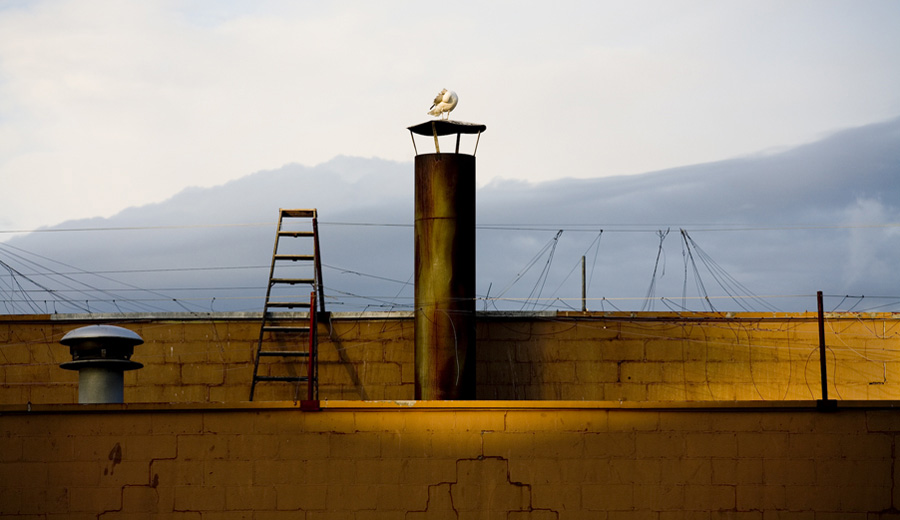 Photographer industrial archaeoligist writer