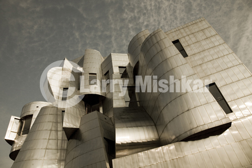 Frank Gehry Minneapolis