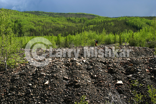 Coal Creek Tailings