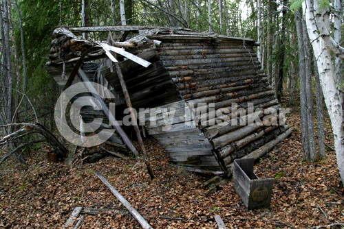Coal Creek Log Shed