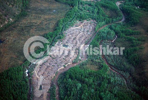 Coal Creek Aerial