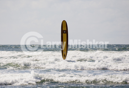 Laura's Surfboard