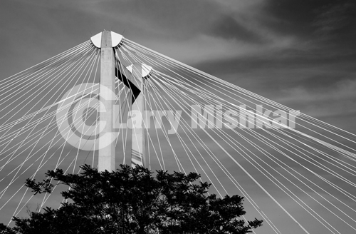 Cable Bridge