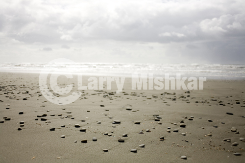 Kalaloch Beach