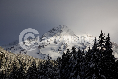 Mt. Rainier