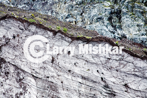 Carbon River Glacier