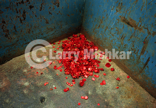 Cemetery Dumpster, Finland