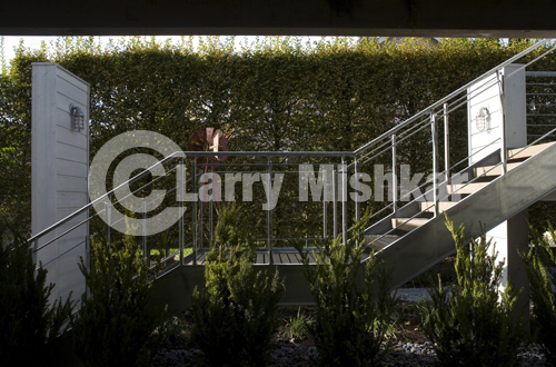 Entrance Stairs