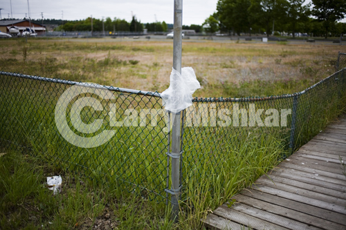 Plastic Bag Landscape