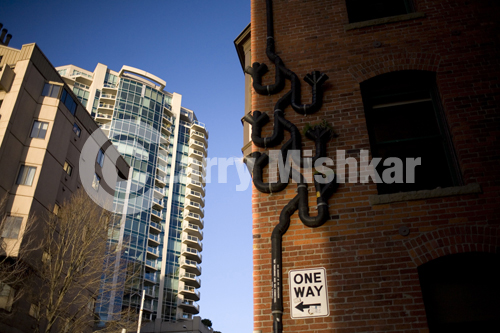 Flower Pots in Seattle